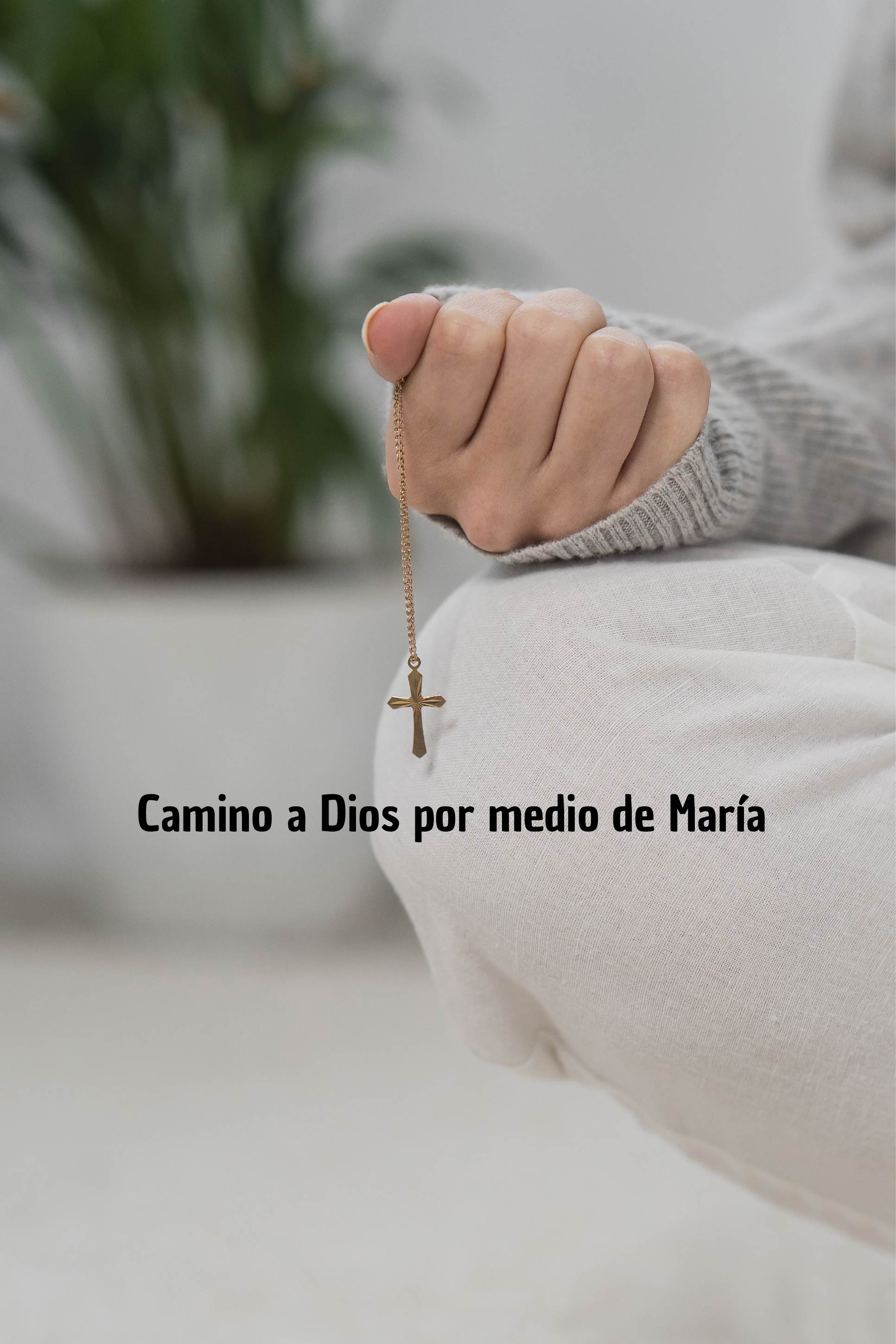 Camino a Dios por medio de María